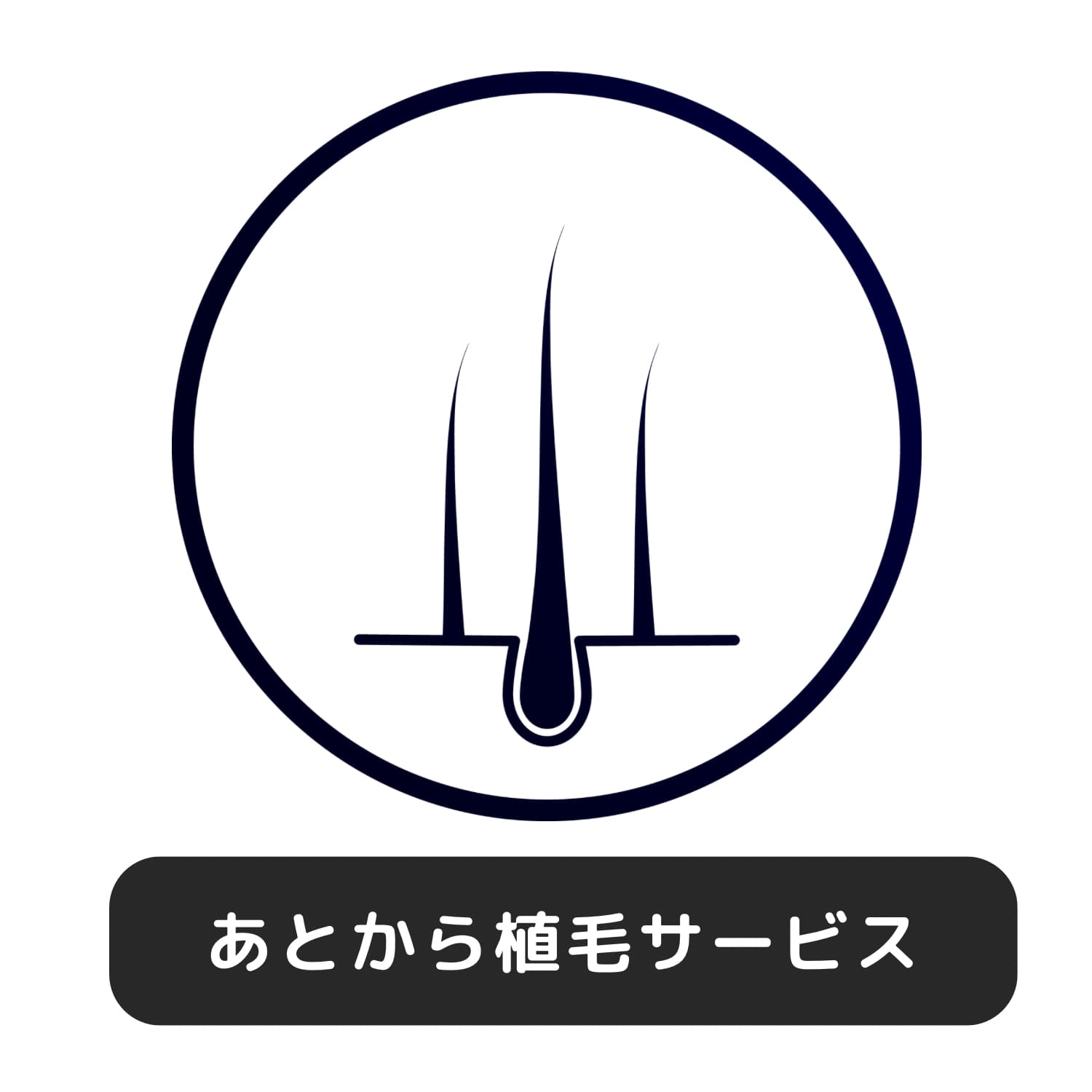 FTMエピテーゼあとから植毛サービスのアイコン画像|Epithesis hair implantation add-on service icon