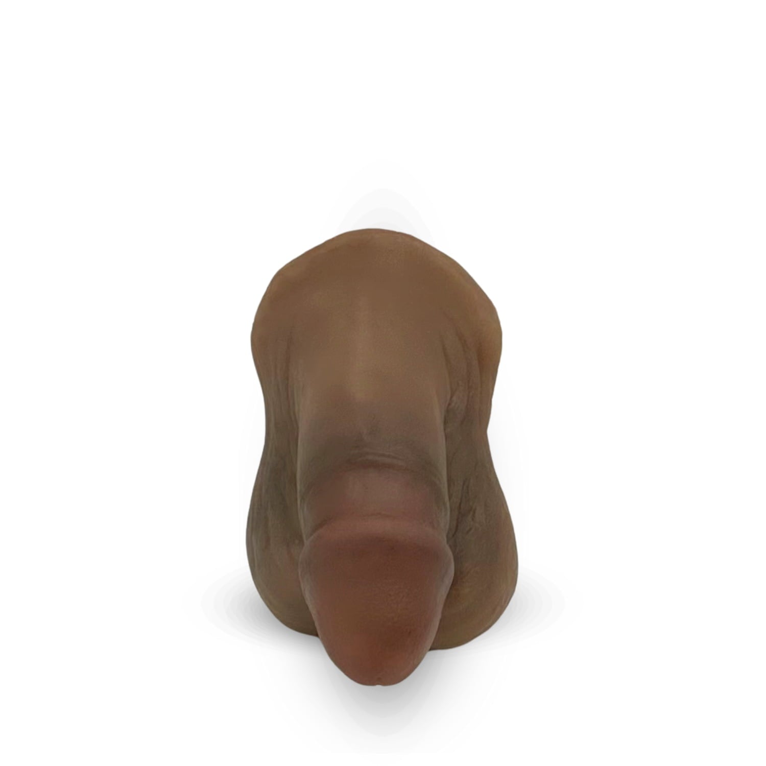 FTM向けエピテーゼ「Toren Round」露茎タイプ コンパクトサイズ(黒め)正面 - Circumcised FTM prosthetics, compact size, dark skin tone, front view