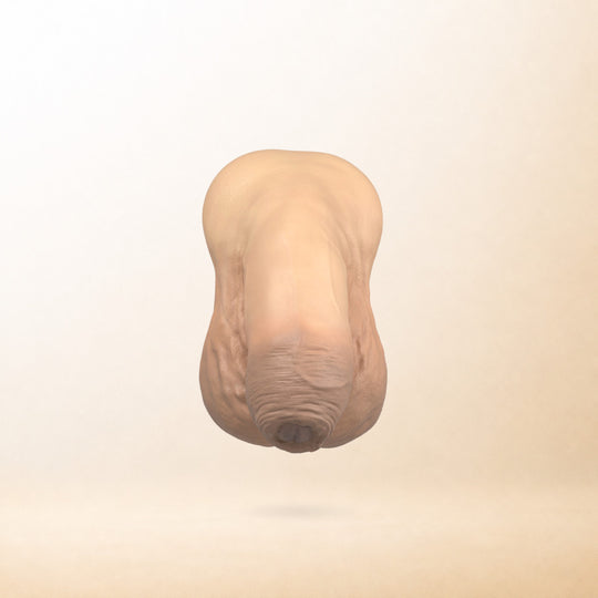 Premium Toren 包茎タイプ（3Dイメージ）